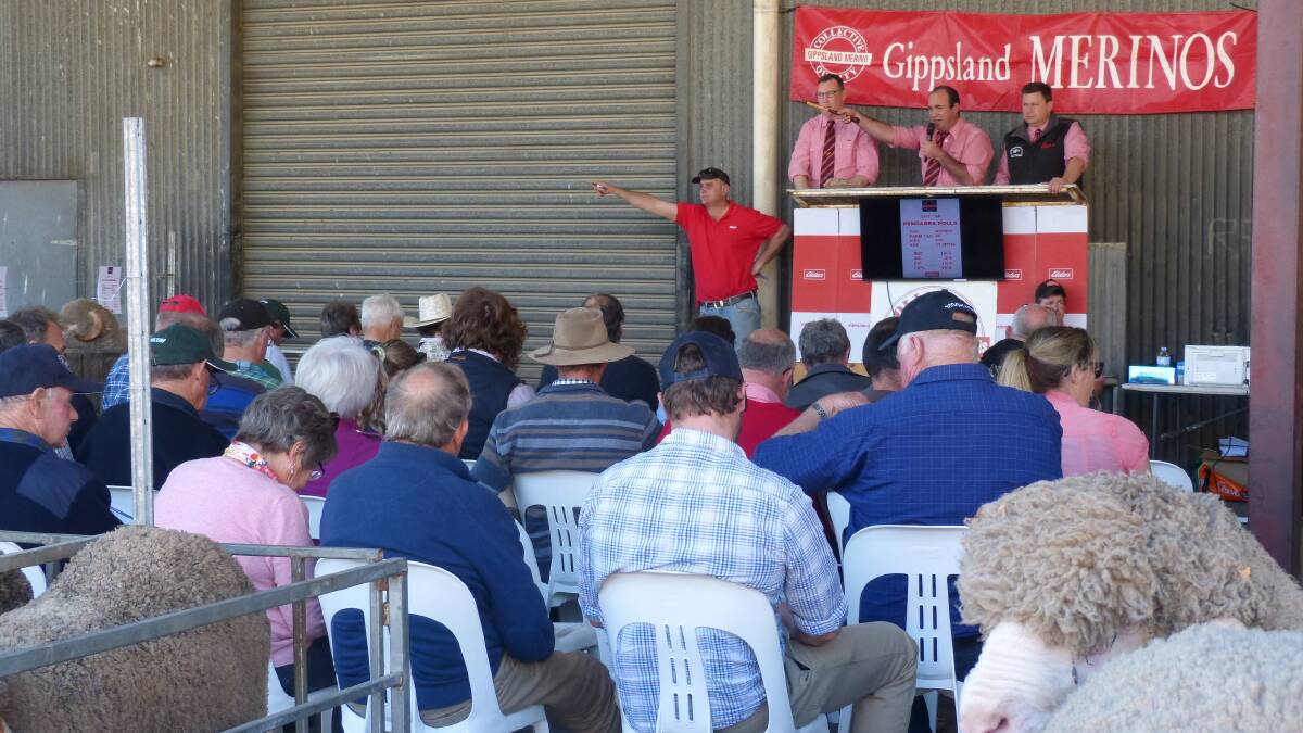 LAST YEAR: More than 200 people attended the Gippsland Merino Ram Sale in 2019.