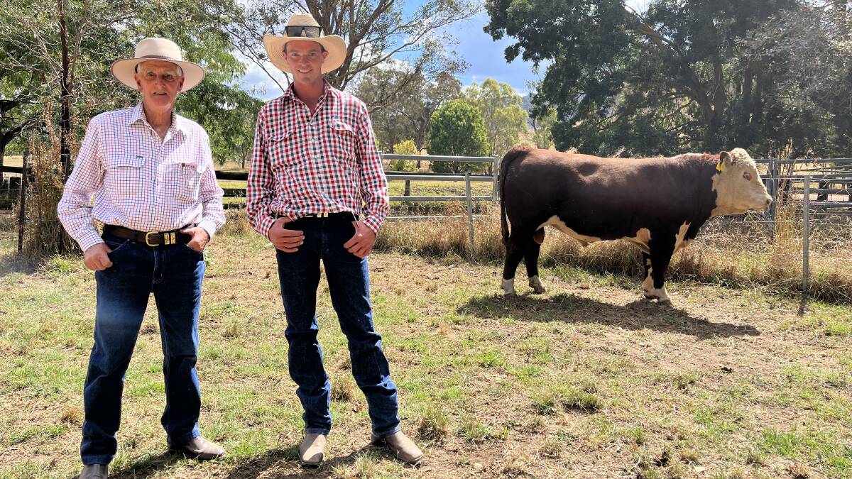 Newcomen Hereford stud principal Barry Newcomen and stud master Tom King, Ensay, with the top-priced $17,000 bull which was bought by YavenVale Herefords, Adelong, NSW. Pictures by Bryce Eishold.