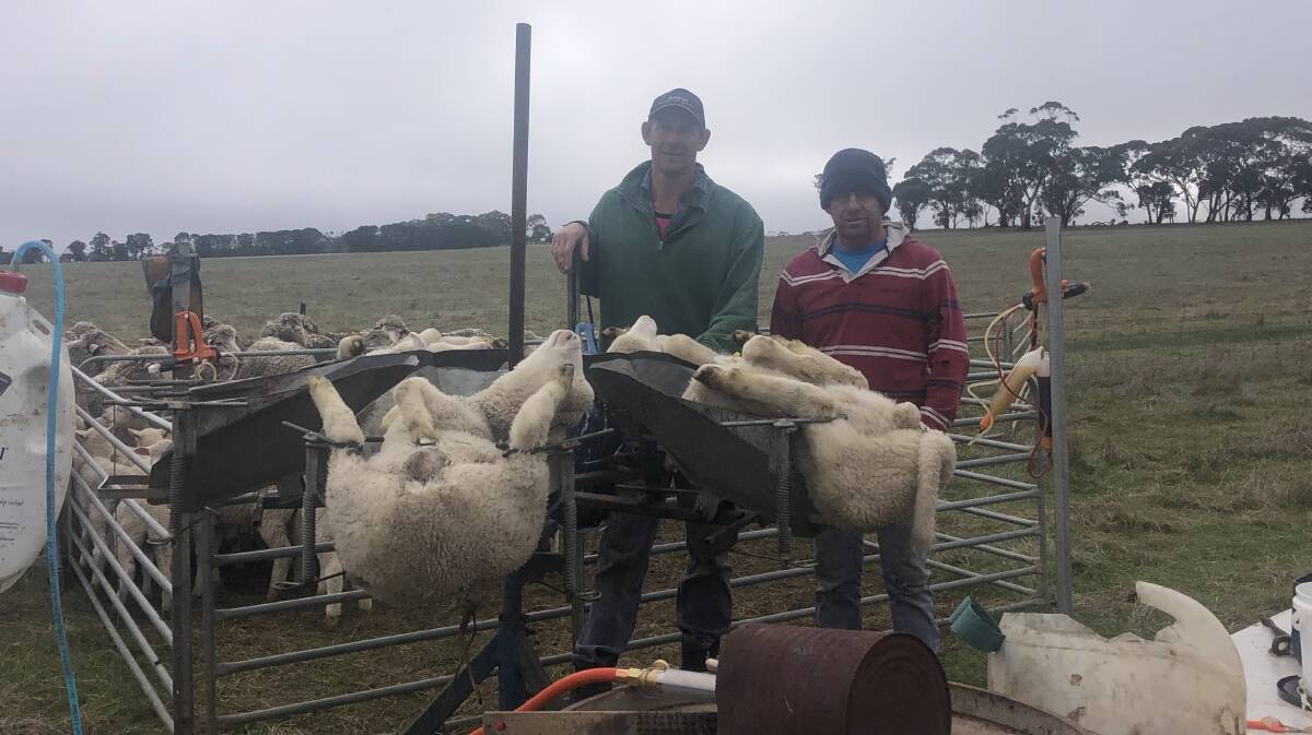 IN FOCUS: Janmac Poll Dorset and White Suffolk stud principals Grant and Bryce Hausler run a farming enterprise in western Victoria.