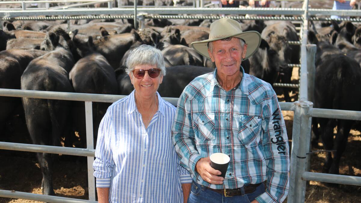 LINE UP: Dawn and Frank Boulton, Gelantipy, will offer 400 Black Baldy heifers at Omeo on March 3. Photo by Emily McCormack.