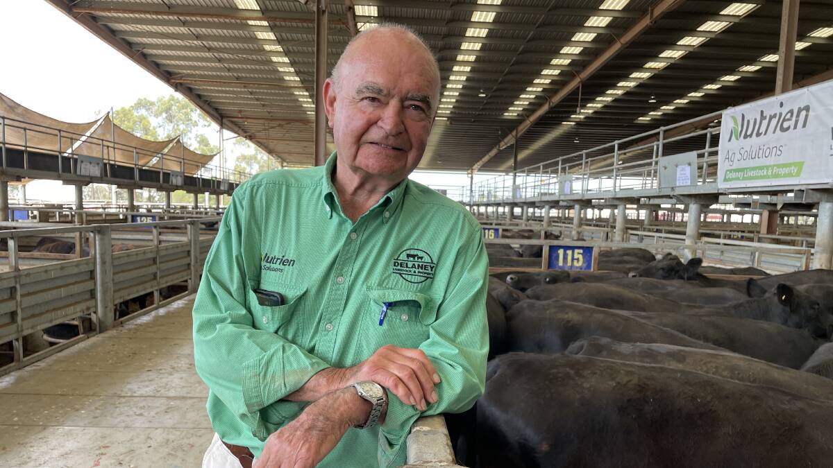Veteran livestock agent Mick Hornsby says the closure of Pakenham's saleyards will be the end of an era for Victoria's livestock industry. Picture by Bryce Eishold