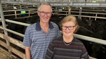 GOING, GONE: Rodney and Coral Donat, Mirboo, sold 45 Angus steers, eight to nine months, to a top price of $2300. Their lightest pen of steers, 268kg, made $2220 or 828c/kg.

