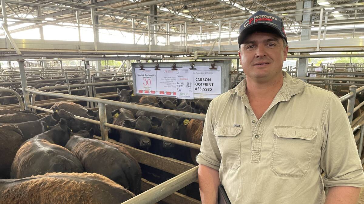 BRIGHT FUTURE: Mr Manning with his top pen of calves and the carbon footprint assessed sign displayed at the saleyard.