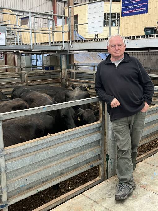 Peter Cleeland, Bayonet Trading, Phillip Island, sold 42 cows and heifers with calves at foot during the fortnightly market. Picture supplied