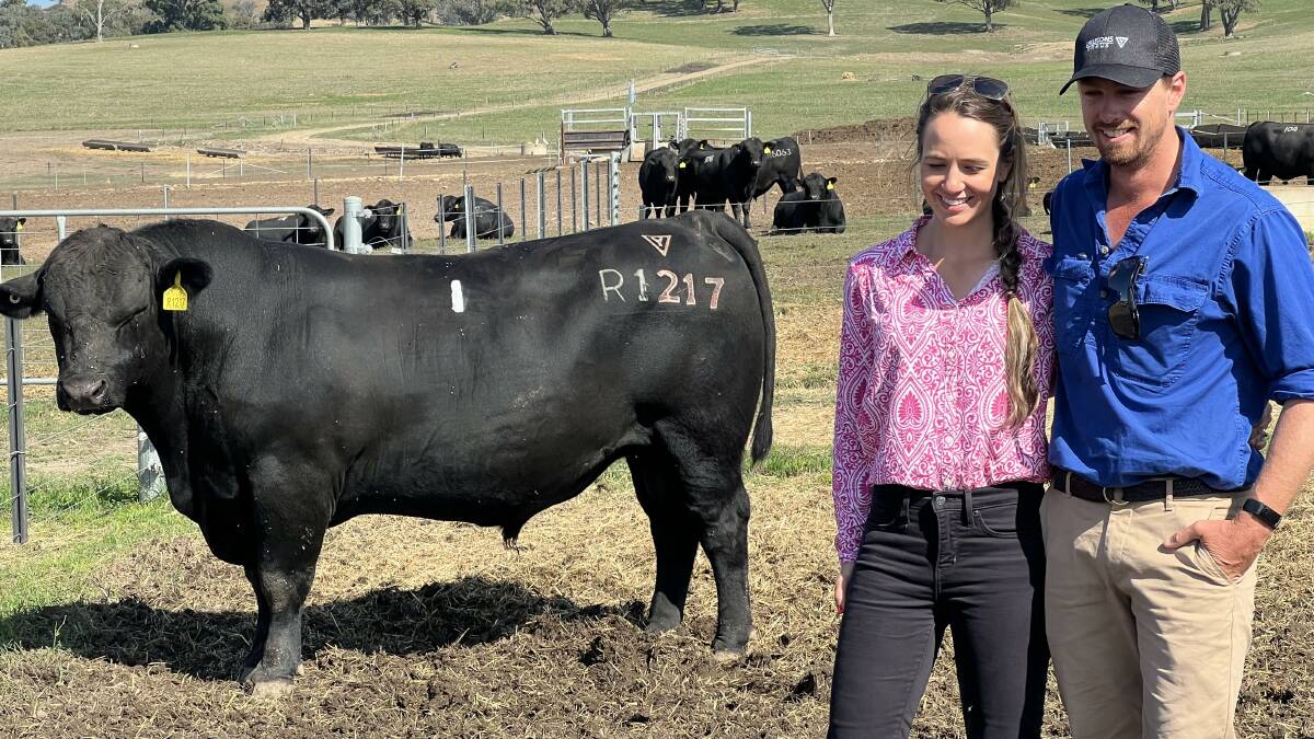 Helena and Fergus Whitehead, Tooma, NSW, with their purchase at the Lawsons Angus bull sale, Lot 1, Lawsons Romulus R1217, which sold for $35,000.