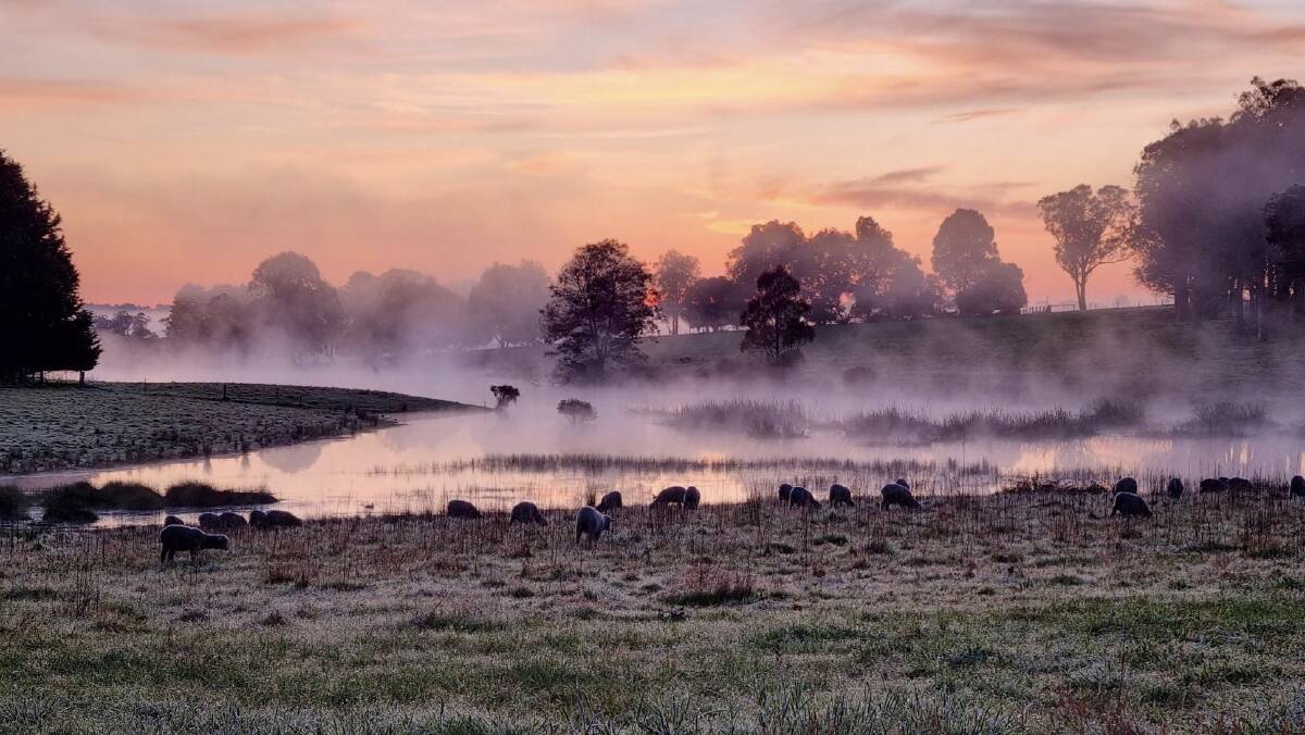 Woolgrowers Luke and Casey Nicholls captured this foggy start to a morning from the dam on their property at Munro in eastern Victoria.