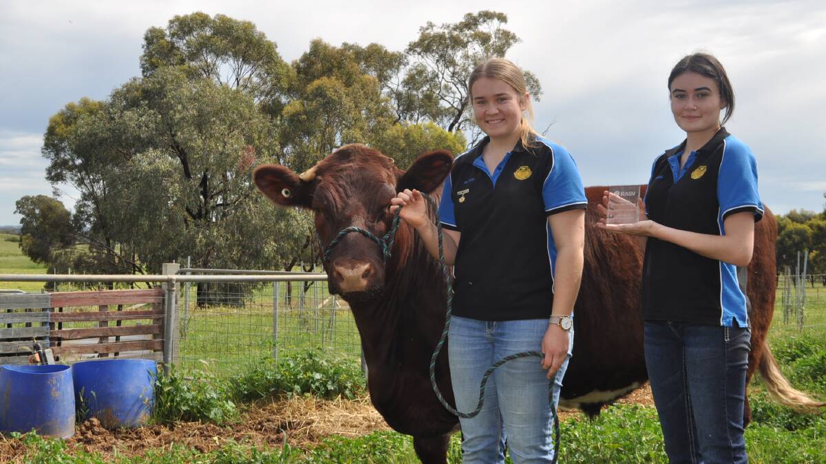 CHAMPION: Rusty the Australian Shorthorn with Rutherglen High School students Sarah White (school captain) and Emma English holding the 2020 Borthwick Trophy.