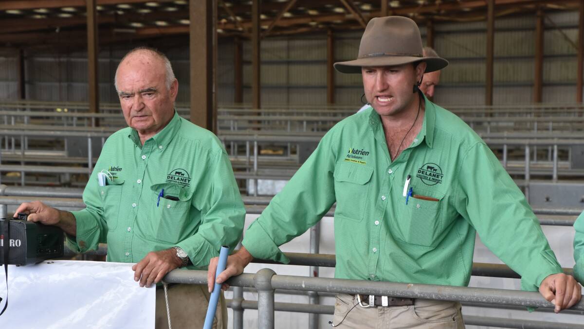 Mick Hornsby alongside Nutrien Delaney Livestock & Property director Anthony Delaney at the Victorian Livestock Exchange at Pakenham in 2020. File photo