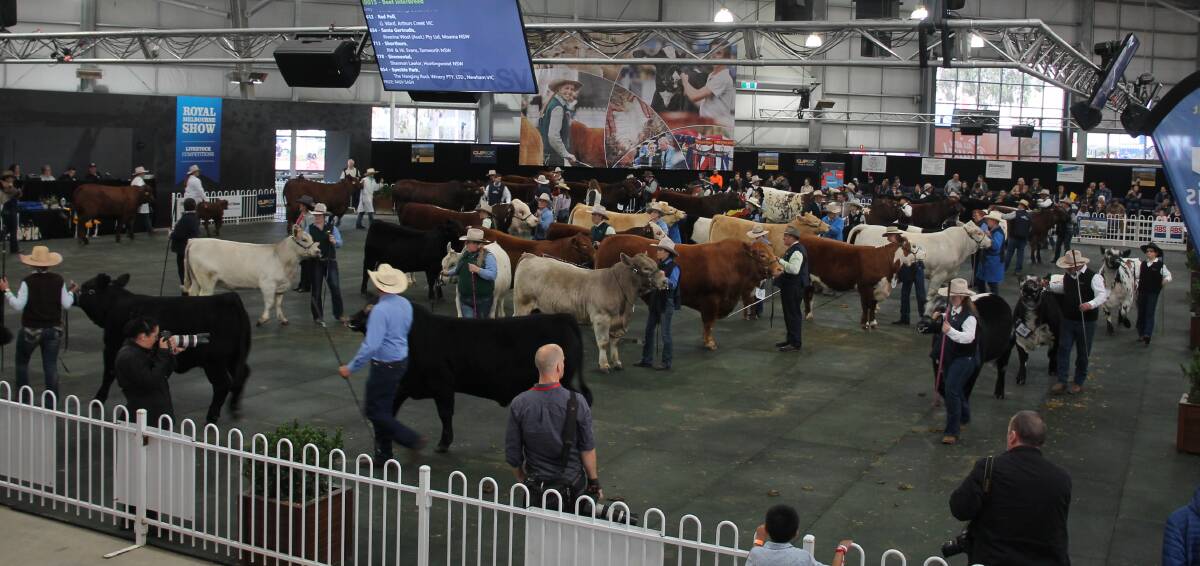 UPDATE: Livestock will return to this year's Melbourne Royal Show.