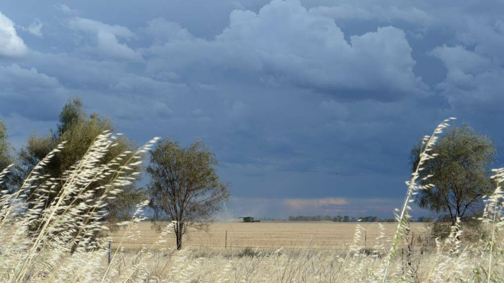 FORECAST: Some promosing conditions could be on the way for Victorian farmers.