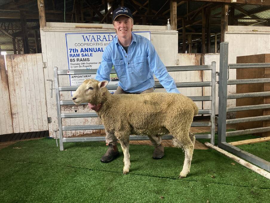 TOP LOT: Waradgery's Charlie Johnston with the top-priced Coopworth ram, Lot 20. 
