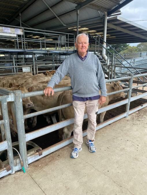 Steve Wennholz, Romawi, sold 12 Charolais steers, two years, 668kg, for $2520 at Bairnsdale's fortnightly store sale on Tuesday. Picture supplied