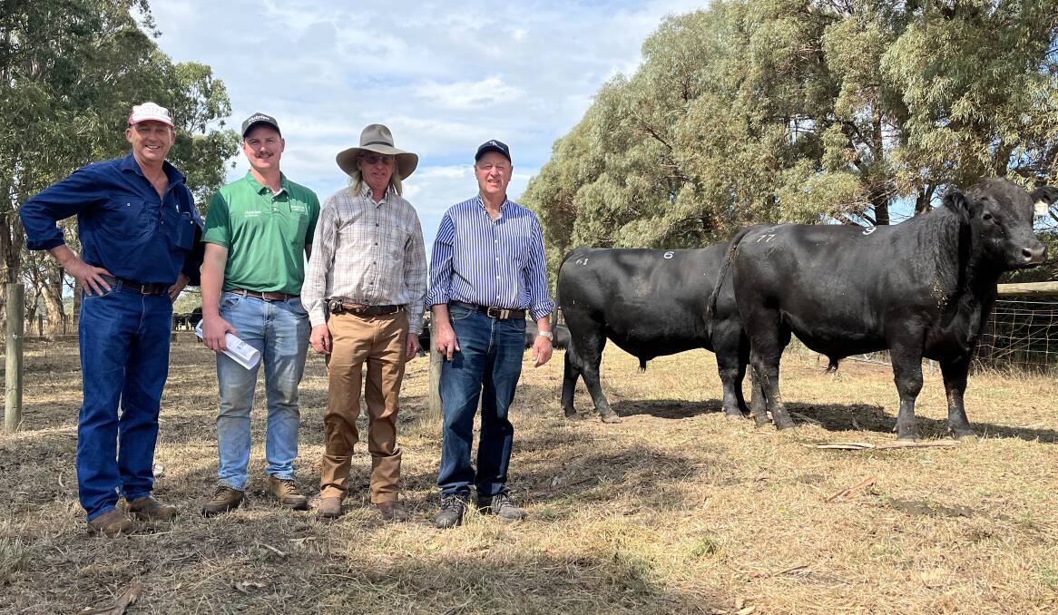 John MacLachlan, Sale, Bailey Anderson, Nutrien Greenwood, Sale, Iain MacLachlan, Sale, and John Sundermann, Pinora Angus, Heyfield. The MacLachlan brothers, Glencoe Angus, bought two bulls from the sale, Lots 6 and 9, including the top-priced lot for $13,000. Pictures by Bryce Eishold