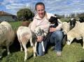 MEAT FOR ALL AGES: Hope-ta Harlequin Mini Meat Sheep stud principal Melissa Bell, Longwarry, has bred the small breed for five years.