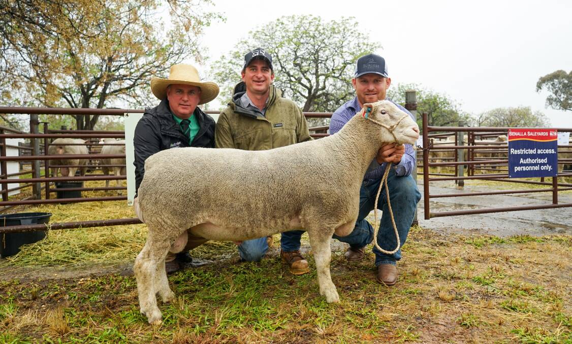 Nutrien south-east stud stock manager Peter Godbolt, Ivadene Poll Dorset stud principal Lachie Kelly, Hexham, and top buyer Joe Scott, Valley Vista, Coolac, NSW, with the $11,500 ram. Picture by Rachel Simmonds