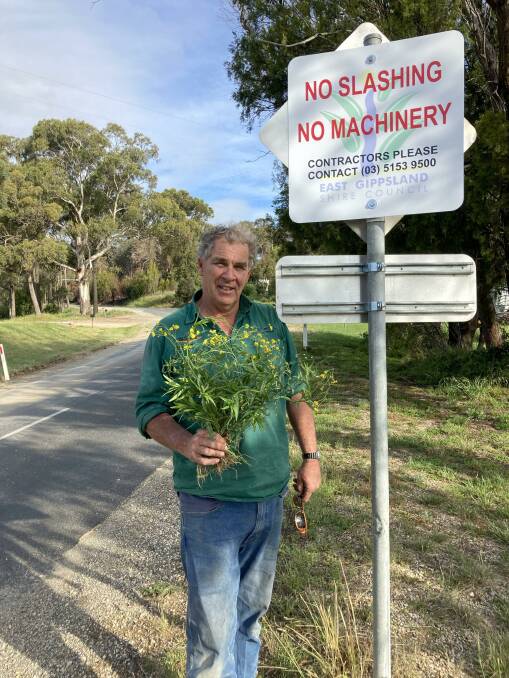 UP IN ARMS: Mr Brownrigg holds a fireweed plant at Clifton Creek.