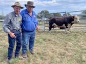 Karoonda Hereford stud principal Paul Sykes, Gelantipy, with long-term buyer and Phelan & Henderson & Co director David Phelan, Staceys Bridge, and one of the top-priced 2024 sale bulls.