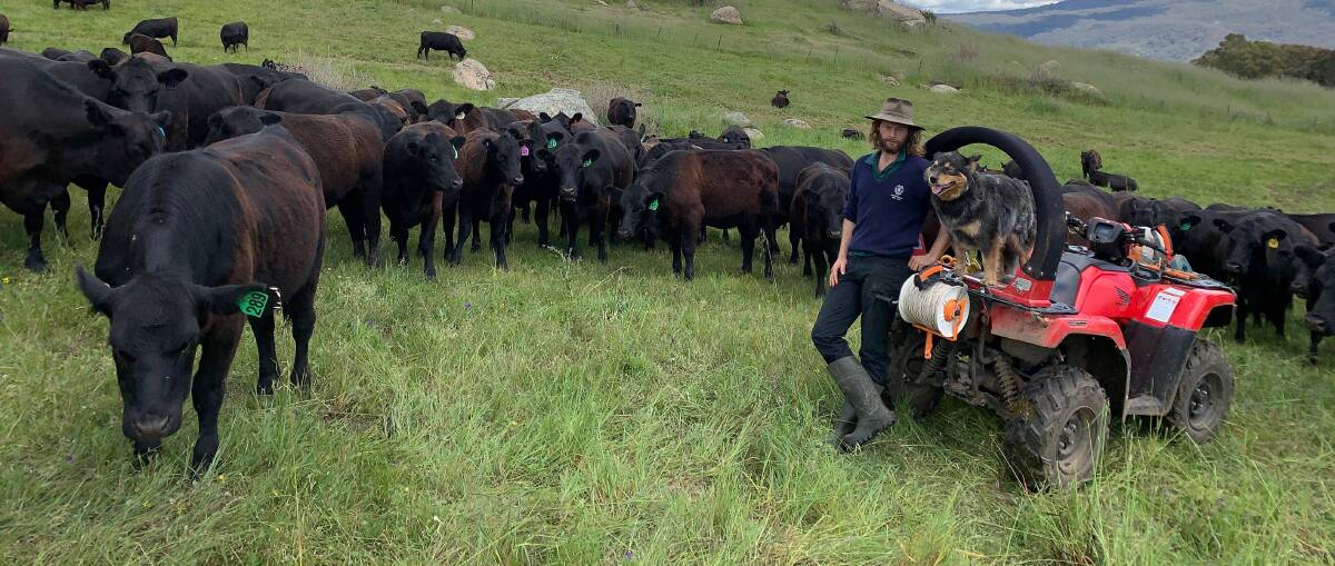 NEW BEGINNINGS: Trawool Valley beef farmer James Miller, Woorough Commercial Cattle, has shifted to regenerative agricutlure on his 960-hectare property to improve pasture and productivity.