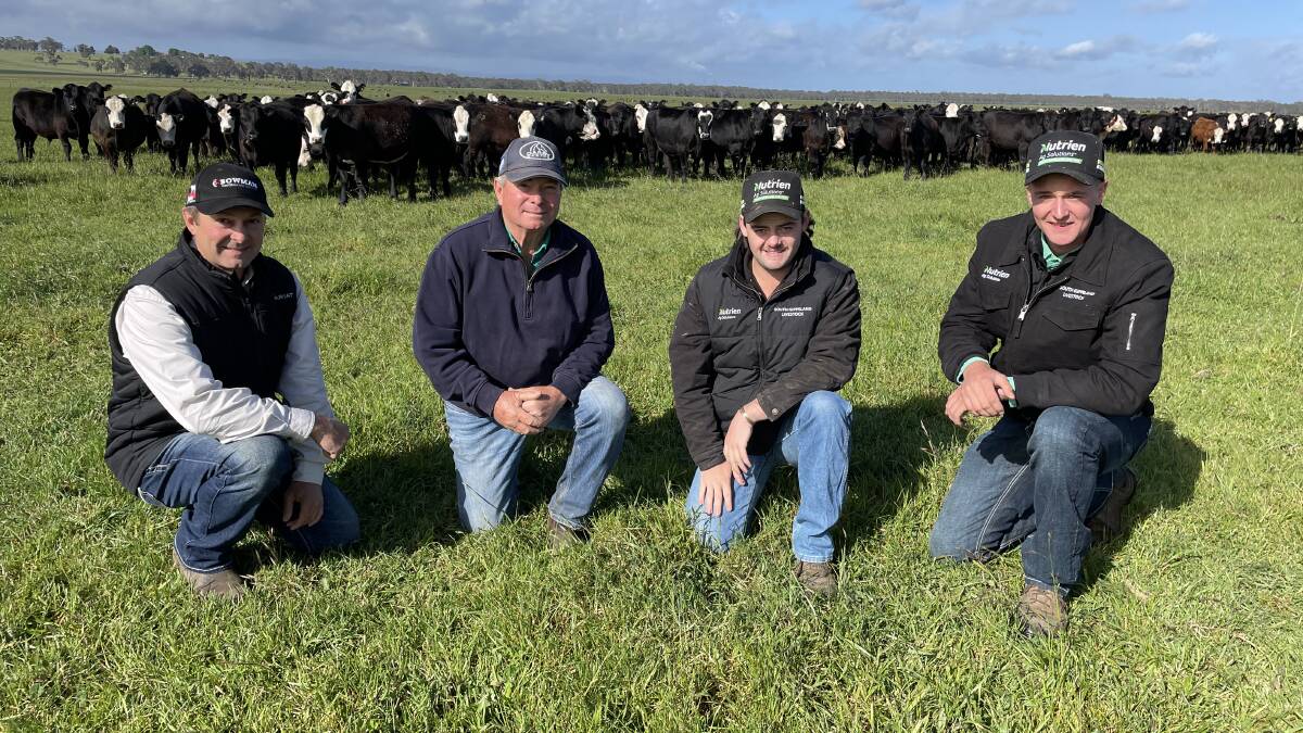 Glenn and Tim Bowman, The Ridge Pastraol/Bowman Performance Genetics, Rosedale, with Nutrien South Gippsland Livestock agents Darcy Loughridge and Jack Sutherland ahead of the November 10 sale.