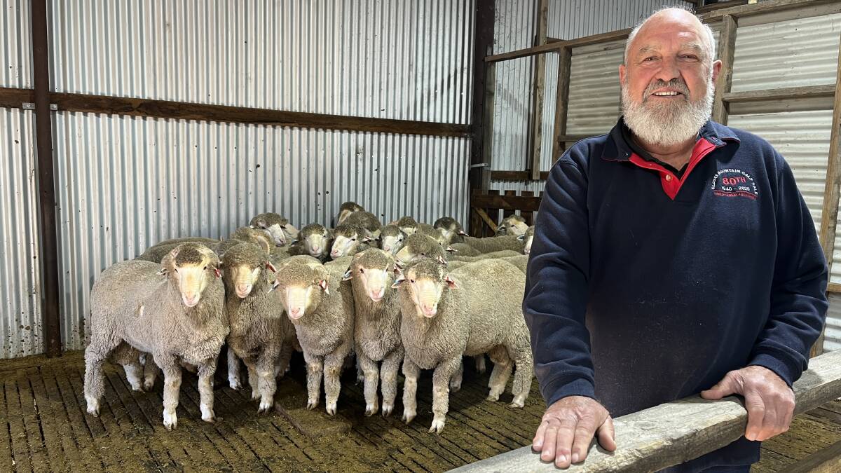 Victorian wool veteran Mal Nicholls won the 2023 Marcus Oldham Flock Leader Lambition Award for his service to Australia's sheep industry. Picture by Bryce Eishold