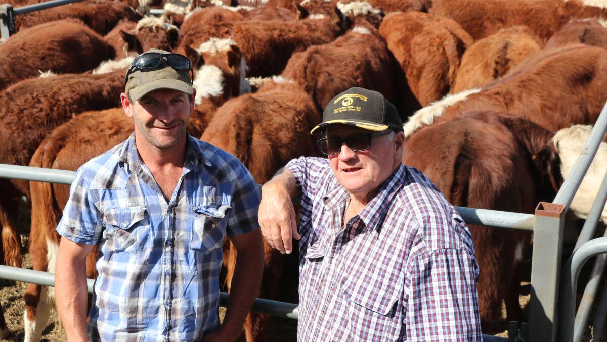 STRONG LINE: Richard Faithfull, Gibsons, Benambra (right) with son Jake, will offer 150 Hereford weaner calves at Benambra next month. Photo by Emily McCormack.