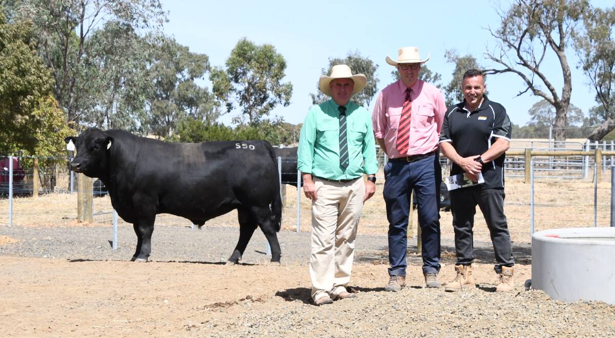 Nutrien south-east stud stock manager Peter Godbolt, Elders Victoria and Riverina stud stock manager Ross Milne, and Sam Trovatello, Adameluca Angus, Kyneton South, with Adameluca Slingshot S50 which made $35,000. Picture by Jess Parker