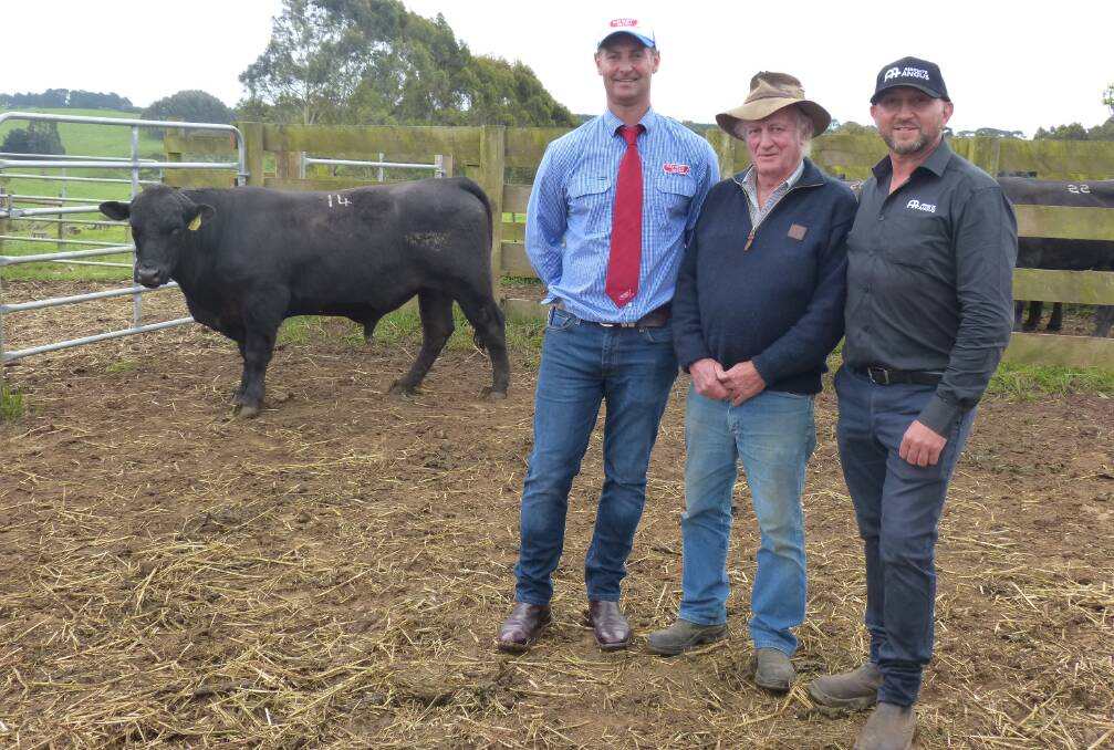 NICE BULL: Alex Scott & Staff Pakenham livestock manager David Setches, top-priced buyer Geoff Murray, Nar Nar Goon and Absolute Angus stud principal Anthony Pisa. Mr Murray purchased the bull for $8100.