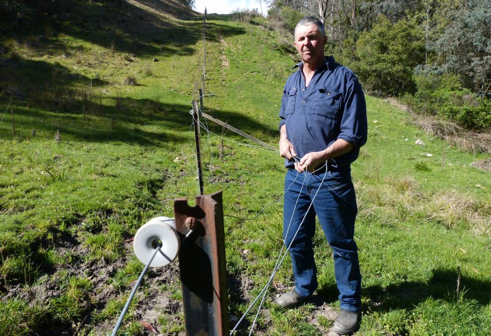 WORK TO BE DONE: Mr Lawlor says he is repairing fences "smashed" by wild deer on a weekly basis.
