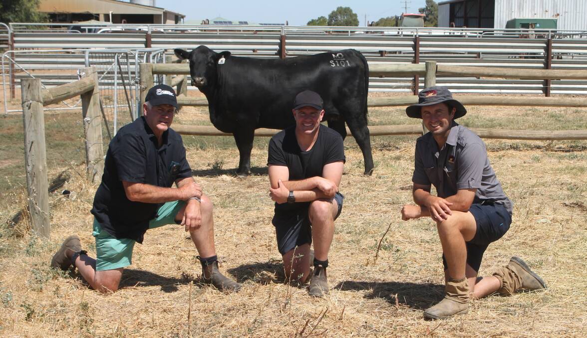 Alan and Tim Carson, Cairnbrae Angus, Paraparap, and Brodie Collins, Merridale, Tennyson, with the top-priced bull, Lot 46, Merridale Vicky S101, which sold for $40,000. Picture by Philippe Perez