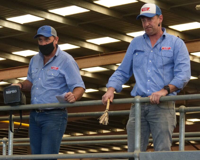 SALE-O: Alex Scott & Staff agent Jason Fry and auctioneer David Setches sell a pen of steers at Pakenham last Thursday. Photo by Bryce Eishold.