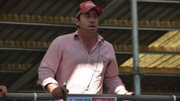 Elders Bairnsdale livestock manager Morgan Davies sells a pen of cattle. File picture