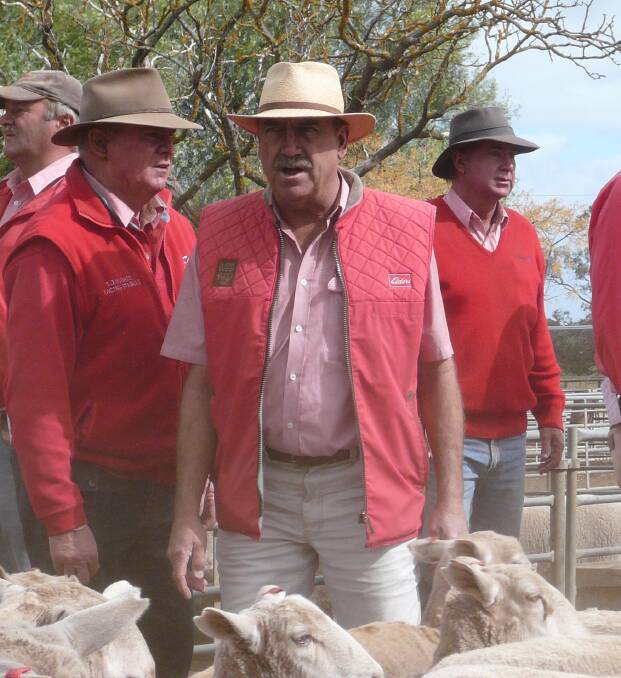 RED TEAM: Elders auctioneer Kevin Thompson (centre) shares his tips of the trade as he celebrates 50 years as a stock agent and auctioneer.