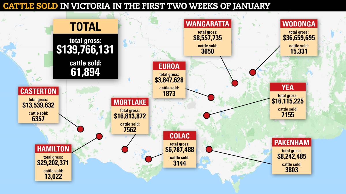SNAPSHOT: A map shows how many weaner cattle were sold at respective saleyards in the first two weeks of 2022.