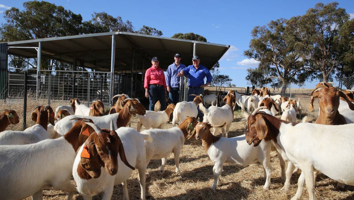 PREMIUM CUTS: Linda and Peter McKenzie with son Ryan (middle), run Strathbogie Goats at Mangalore. Photo by Fiona Lake.