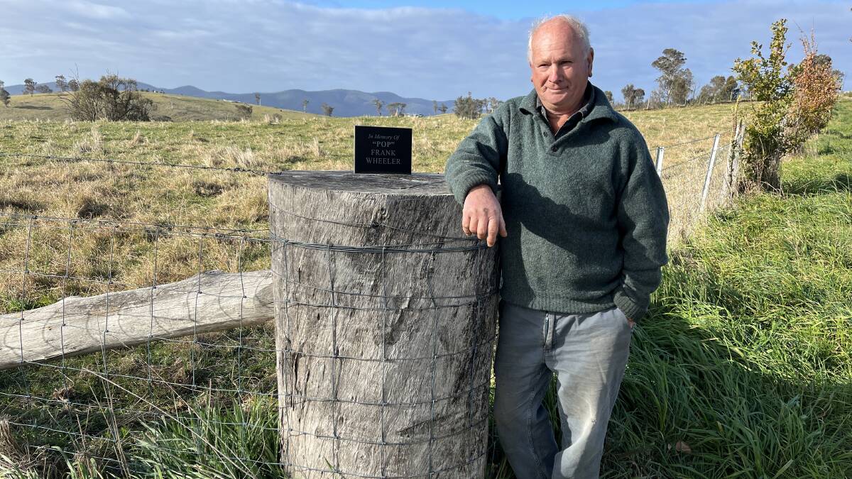Buchan South grazier Chris Wheeler stands beside what he believes could be one of the heaviest strainer posts in Victoria. Pictures by Bryce Eishold
