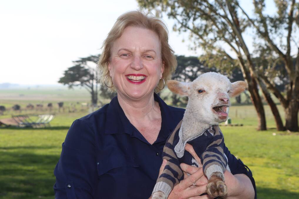 EDUCATING: Western district sheep, cattle and cropping farmer and author Tracey Kruger will release a children's novel called The Farmer Twins later this year.