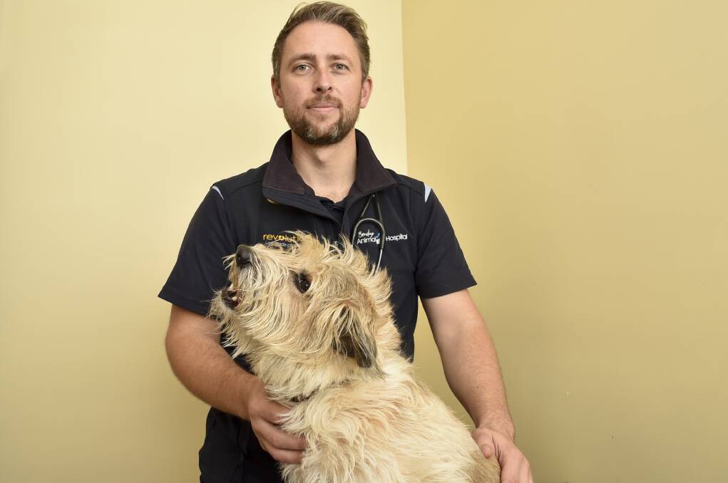 COMPLEX: Bendigo Animal Hospital clinical director Max Tori has spoken about the challenges vets face as the industry experiences a significant labour shortage. Photo by Noni Hyett.