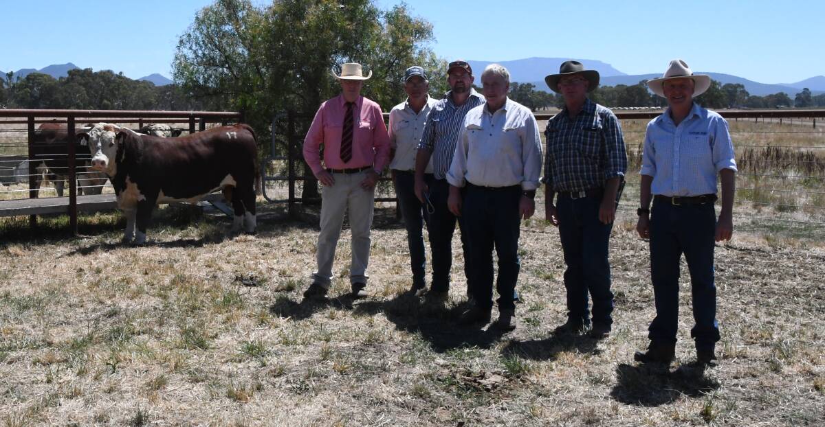 Elders Victoria and Riverina stud stock manager Ross Milne, Chad Mason, Creek Livestock, Casterton, David and Neville McClure, Mooree Partnership, Mooree, NSW, Andrew Green, Glendan Park Herefords, Barfold, and Yarram Park manager Jeremy Upton with the $58,000 Hereford bull.