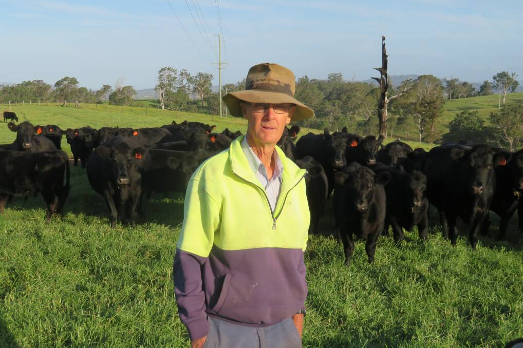 LOOKS DECEIVING: Beef farmer Rex Hergenhan, Bega, says while some paddocks are green along the east coast, much more rain is needed to fill empty dams following a dry start to the year after an orindary 2019.