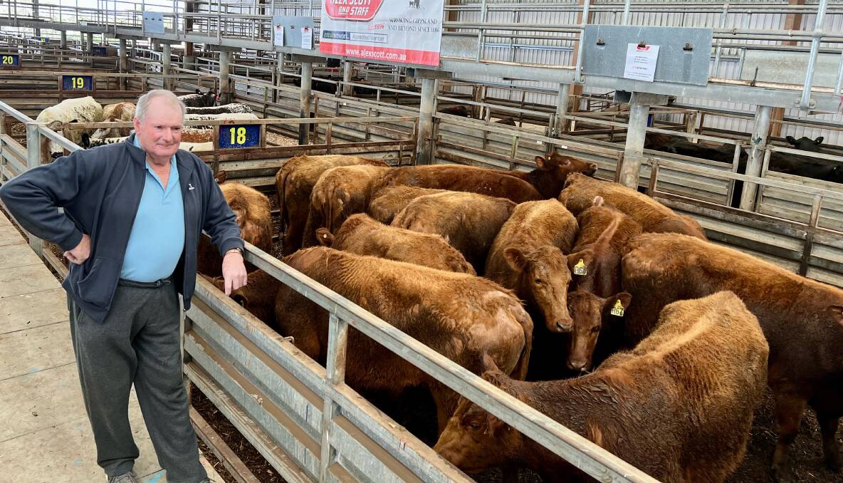 Dennis Hardy, Ripplebrook, sold 14 Red Angus PTIC heifers at Pakenham on Thursday.