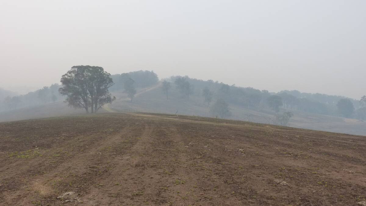 DAMAGE: The 2019/20 Black Summer burned more than 24 million hectares across Australia.