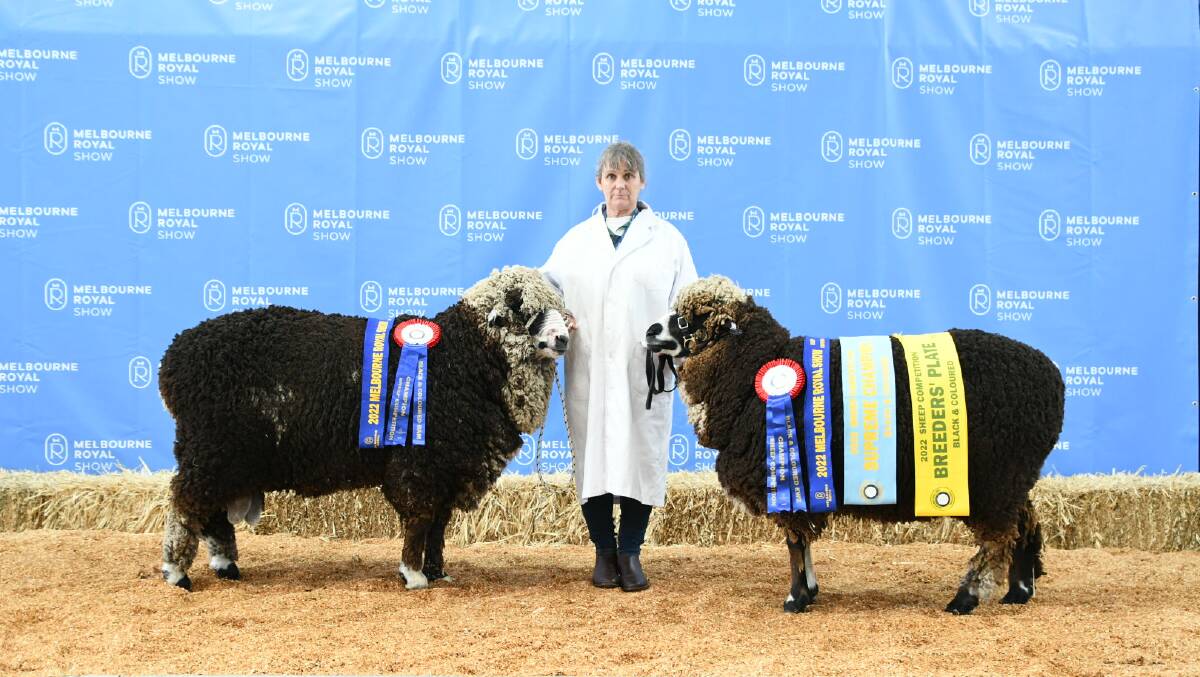 Anna Barnes, Werowna Park, Yass, NSW, with her two Black Merino exhibits including the supreme champion Black & Coloured ewe. Picture by Jess Parker.