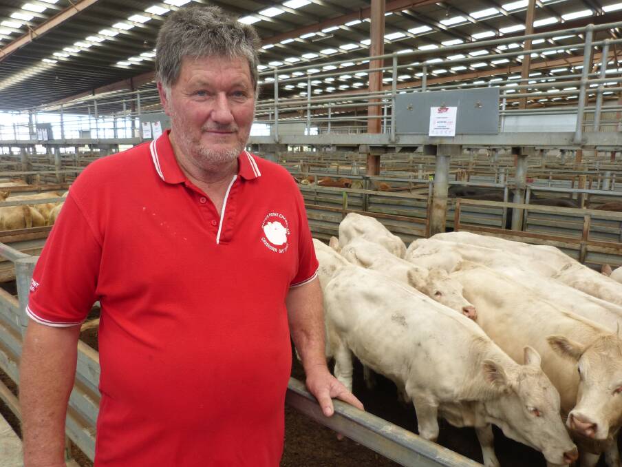TOUGH DECISION: Kactus Point Charolais stud principal Bruce Cook, Lake Charm, has offloaded hundreds of cattle this year due to the drought.