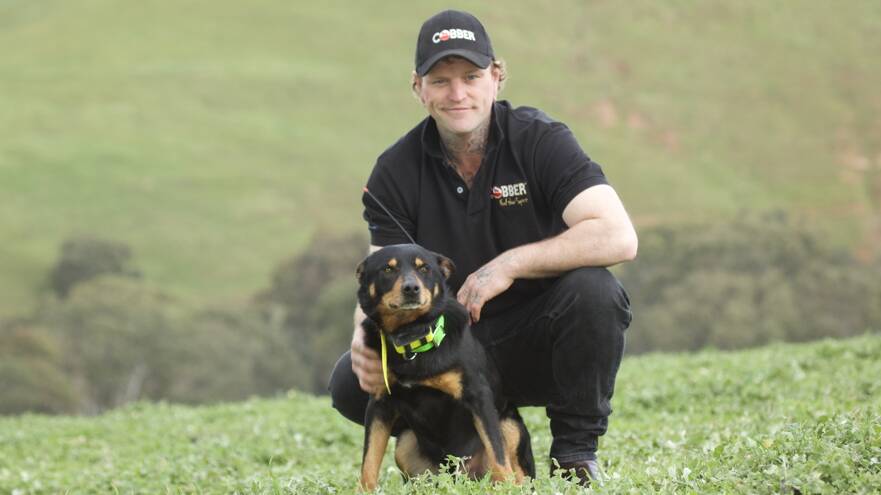 TOP GONG: Winners of the 2021 Cobber Challenge, Victorian farmer Ben Jeffrey and his Kelpie Skyblue Jack. Photo by Hamilton Spectator.
