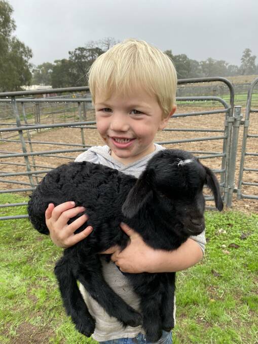 STAR QUALITY: Johnathon Simounds, 3, with his pet kid Star at the Mount Pleasant, SA, sale last month.