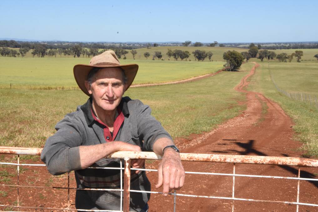 PASSION: Corriedale breeder Bruce Hamblin, Tooleen, stands on the driveway of his 445-hectare property.