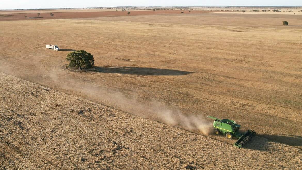 Contributor Amanda Brownsea has been kept busy with the drone during harvest at Lake Hindmarsh.