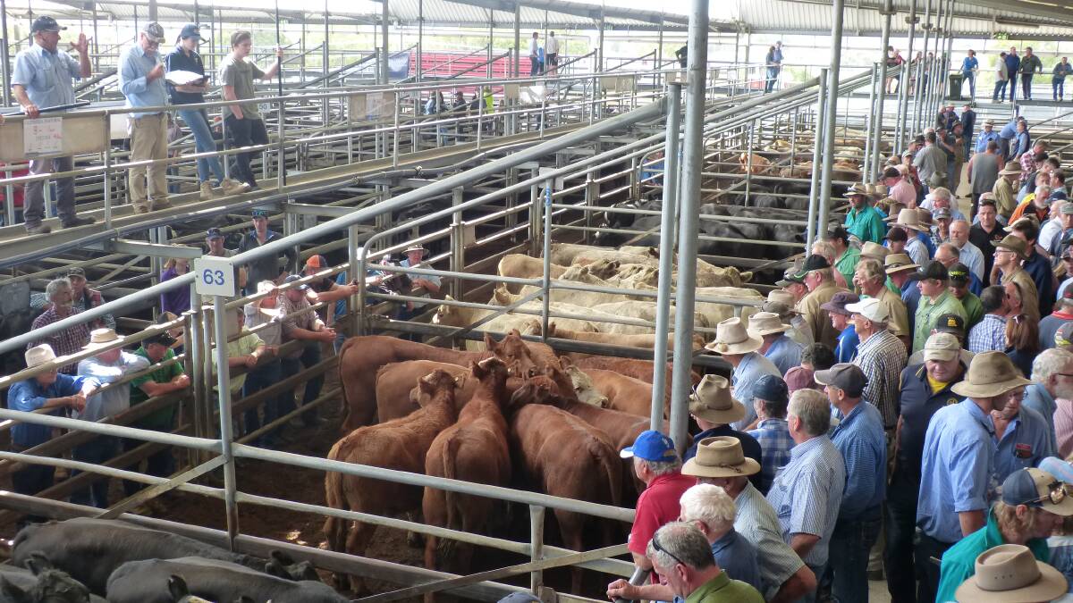 SALE: There was a much smaller crowd at Bairnsdale on Friday compared to the second January sale three months ago.