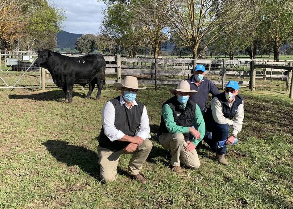 HUGE: Alpine Angus' $75,000 top-priced bull with auctioneer Michael Glasser, Peter Godbolt, Nutrien and Alpine's principal Jim Delany and manager Chris Oswin.