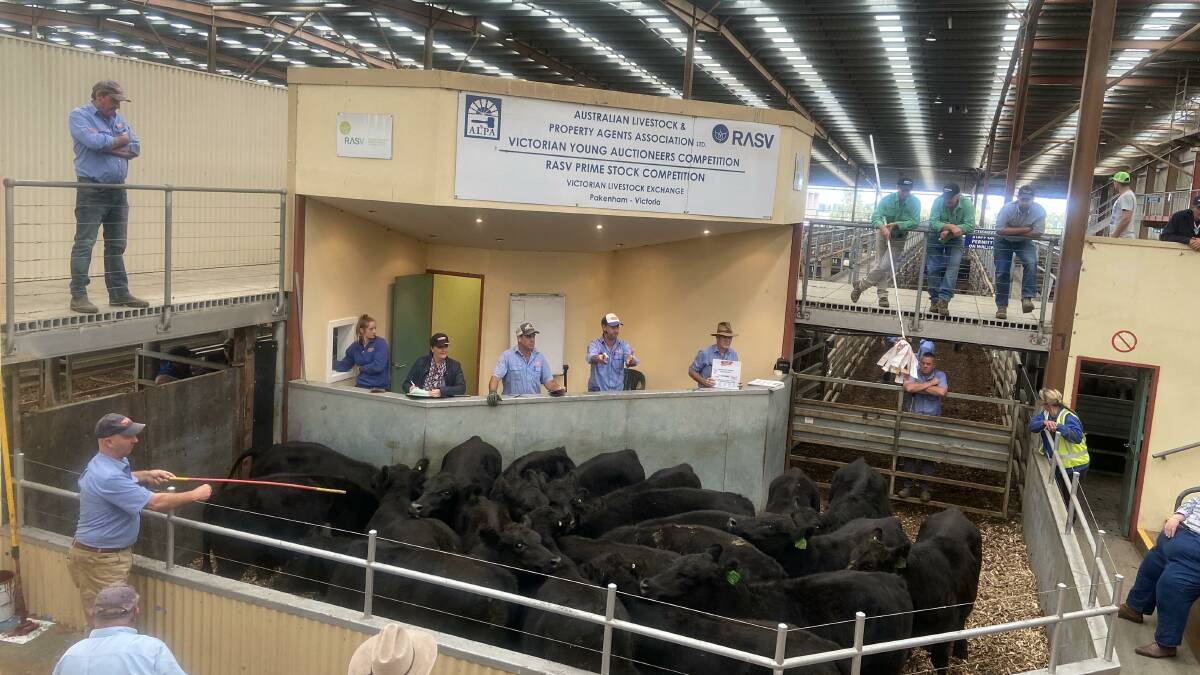 RESTRICTIONS: Cattle are being sold through the ring at Pakenham during COVID-19.